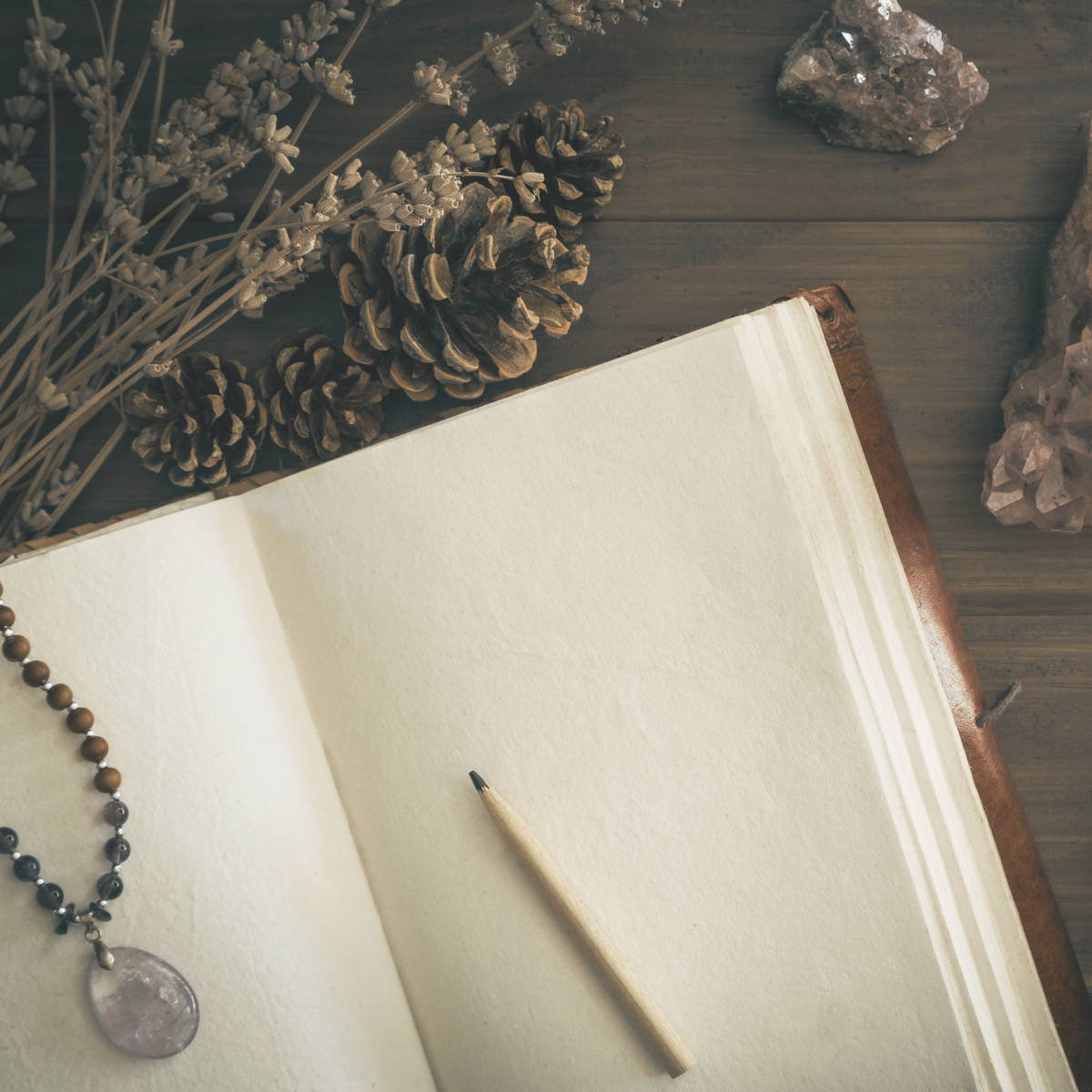 Journey Back to Self